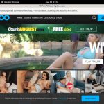 Is Spizoo Worth It