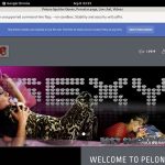 Pelonasquirterqueen.com ??