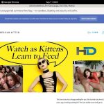 Redtube Americankitten.com